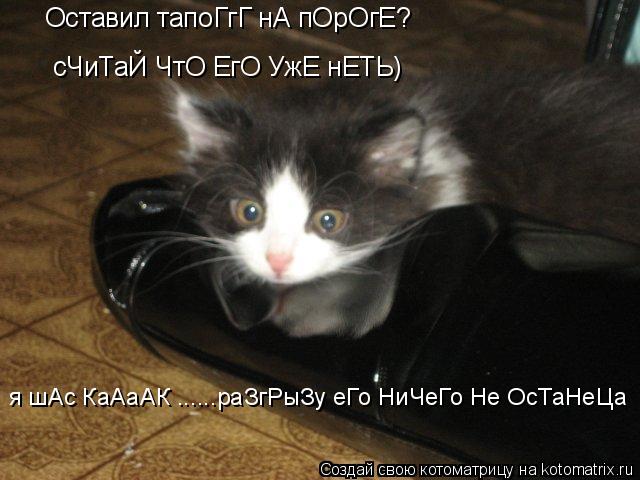 Котоматрица: Оставил тапоГгГ нА пОрОгЕ? сЧиТаЙ ЧтО ЕгО УжЕ нЕТЬ) я шАс КаАаАК ......раЗгРыЗу еГо НиЧеГо Не ОсТаНеЦа