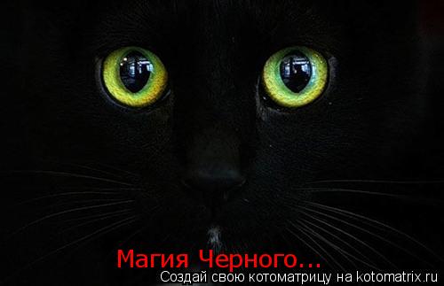 Котоматрица: Магия Черного...