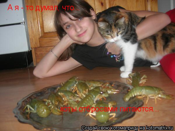 Котоматрица: А я - то думал, что... коты отбросами питаются...