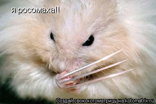 Котоматрица: я росомаха!! я росомаха!!