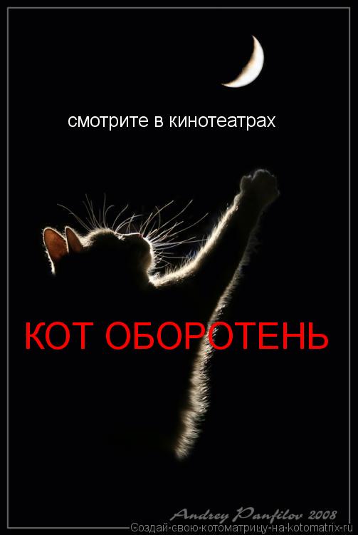 смотрите в кинотеатрах КОТ ОБОРОТЕНЬ... Котоматрица: смотрите в кинотеатрах КОТ ОБОРОТЕНЬ