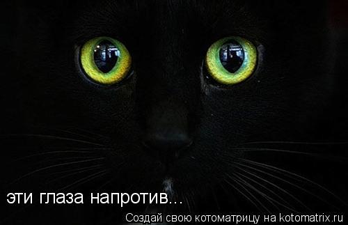 Котоматрица: эти глаза напротив...