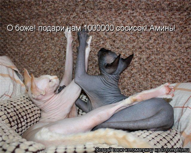 Котоматрица: О боже! подари нам 1000000 сосисок! Аминь!