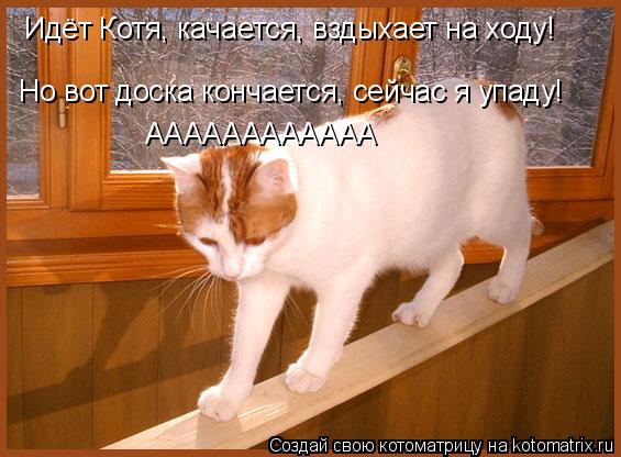 Котоматрица: Идёт Котя, качается, вздыхает на ходу! Но вот доска кончается, сейчас я упаду! АААААААААААА