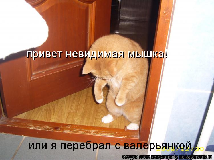 Котоматрица: привет невидимая мышка! или я перебрал с валерьянкой...