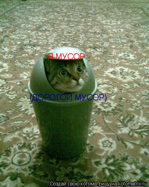 Я МУСОР Я МУСОР (ДОРОГОЙ МУСОР)... Котоматрица: Я МУСОР Я МУСОР (ДОРОГОЙ МУСОР)