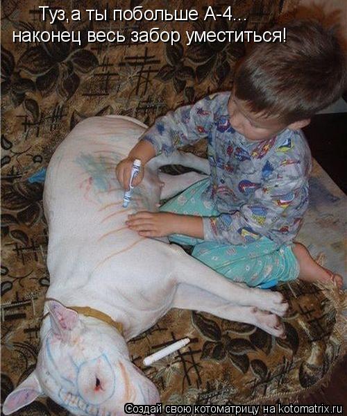 Котоматрица: Туз,а ты побольше А-4... наконец весь забор уместиться!