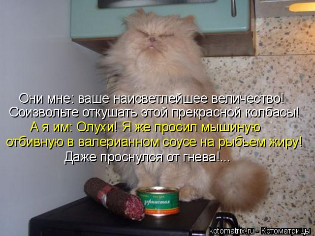 Котоматрица: Они мне: ваше наисветлейшее величество! Соизвольте откушать этой прекрасной колбасы! А я им: Олухи! Я же просил мышиную отбивную в валерианн