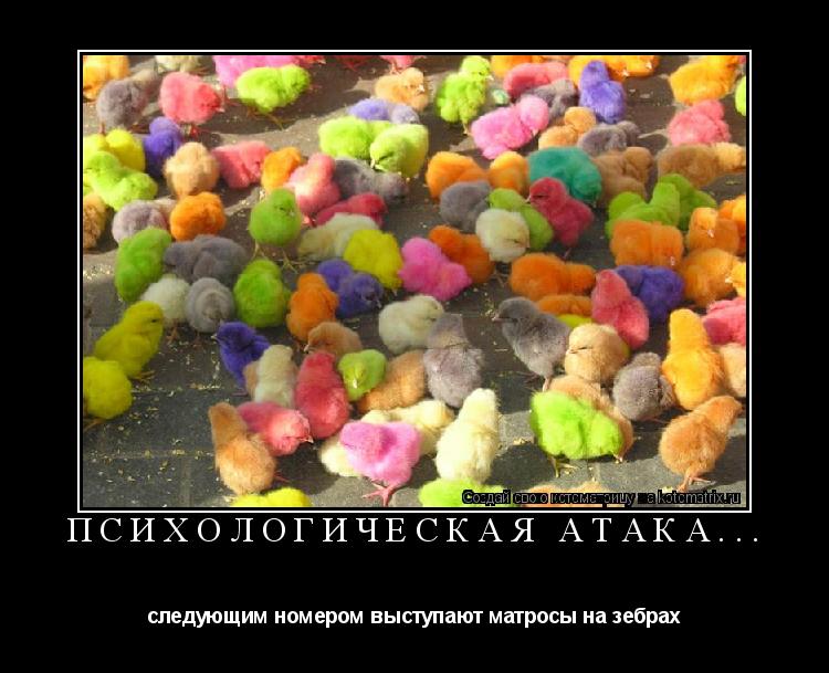 психологическая атака... следующим номером выступают матросы на зебрах... Котоматрица: психологическая атака... следующим номером выступают матросы на зебрах