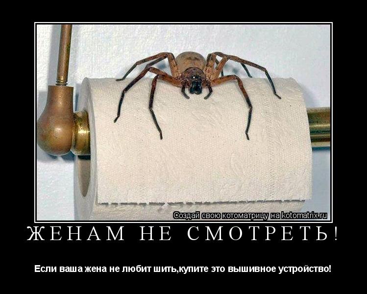 ЖЕНАМ НЕ СМОТРЕТЬ! Если ваша жена не любит шить,купите это вышивное устройство!... Котоматрица: ЖЕНАМ НЕ СМОТРЕТЬ! Если ваша жена не любит шить,купите это вышивное устройство!