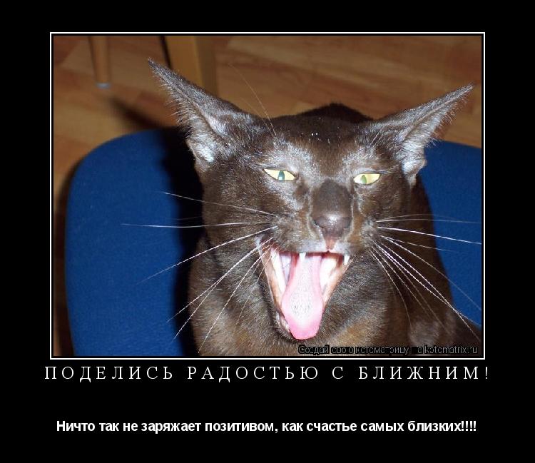 ПОДЕЛИСЬ РАДОСТЬЮ С БЛИЖНИМ! Ничто так не заряжает позитивом, как счастье самых близких!!!!... Котоматрица: ПОДЕЛИСЬ РАДОСТЬЮ С БЛИЖНИМ! Ничто так не заряжает позитивом, как счастье самых близких!!!!