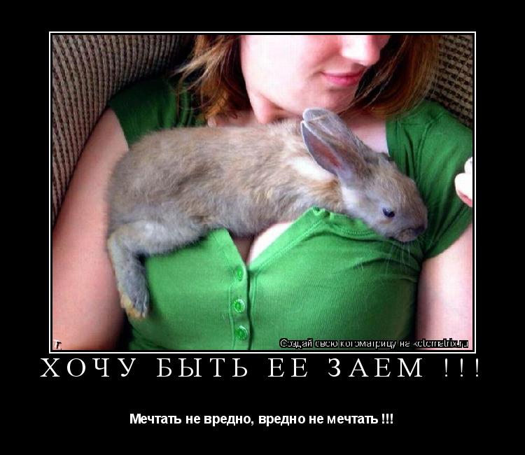 ХОЧУ БЫТЬ ЕЁ ЗАЕМ !!! Мечтать не вредно, вредно не мечтать !!!... Котоматрица: ХОЧУ БЫТЬ ЕЁ ЗАЕМ !!! Мечтать не вредно, вредно не мечтать !!!