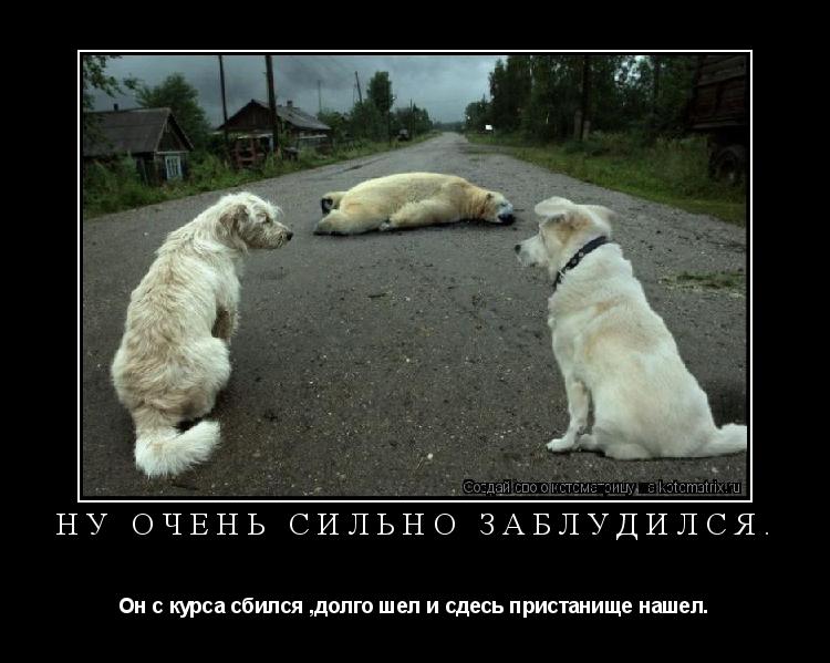 ну очень сильно заблудился. Он с курса сбился ,долго шел и сдесь пристанище нашел.... Котоматрица: ну очень сильно заблудился. Он с курса сбился ,долго шел и сдесь пристанище нашел.
