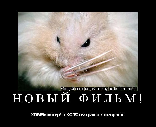 Новый фильм! ХОМЯкрюгер! в КОТОтеатрах с 7 февраля!... Котоматрица: Новый фильм! ХОМЯкрюгер! в КОТОтеатрах с 7 февраля!