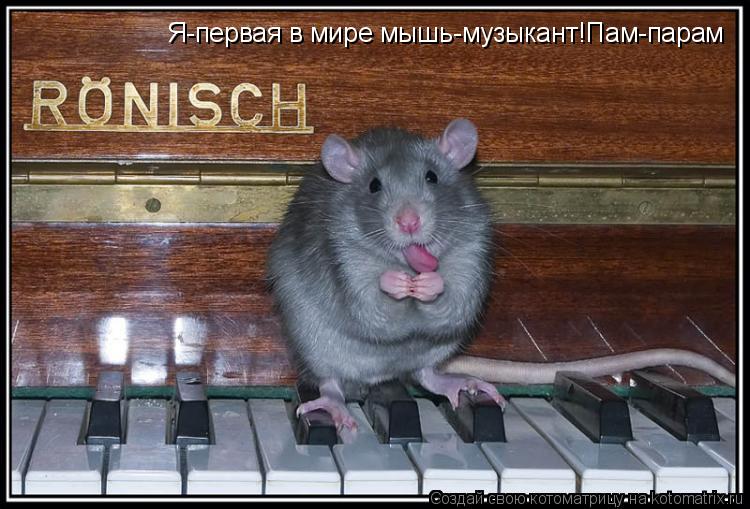Котоматрица: Я-первая в мире мышь-музыкант!Пам-парам