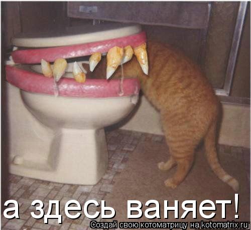 Котоматрица: а здесь ваняет!