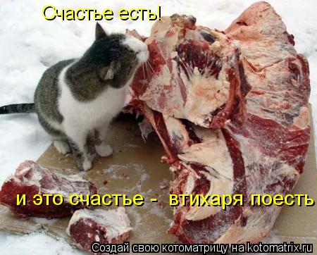 Котоматрица: Счастье есть! и это счастье -  втихаря поесть