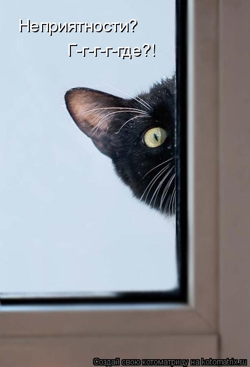 Котоматрица: Неприятности? Г-г-г-г-где?!