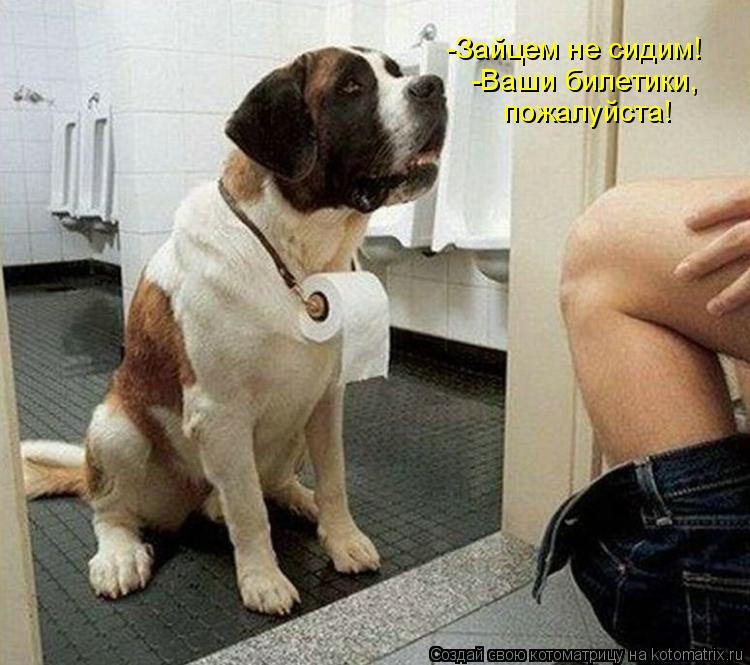 Котоматрица: -Зайцем не сидим! -Ваши билетики,  пожалуйста!