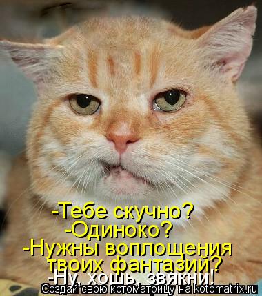 Котоматрица: -Тебе скучно? -Одиноко? -Нужны воплощения  твоих фантазий? -Ну, хошь, звякни!