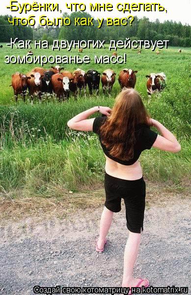 чтоб было как у вас? зомбированье масс! -Бурёнки, что мне сделать, -Как на двуногих действует... Котоматрица: чтоб было как у вас? зомбированье масс! -Бурёнки, что мне сделать, -Как на двуногих действует