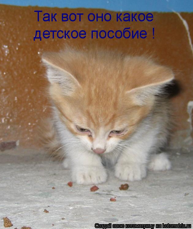 Котоматрица: Так вот оно какое детское пособие !