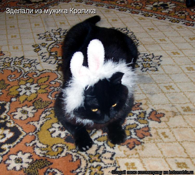 Зделали из мужика Кролика... Котоматрица: Зделали из мужика Кролика