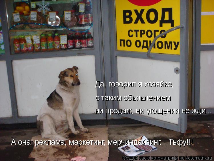 ни продаж, ни угощения не жди... с таким обьявлением Да, говорил я хозяйке, А она: реклама, маркетинг... Котоматрица: ни продаж, ни угощения не жди... с таким обьявлением Да, говорил я хозяйке, А она: реклама, маркетинг, мерчиндайзинг... Тьфу!!!