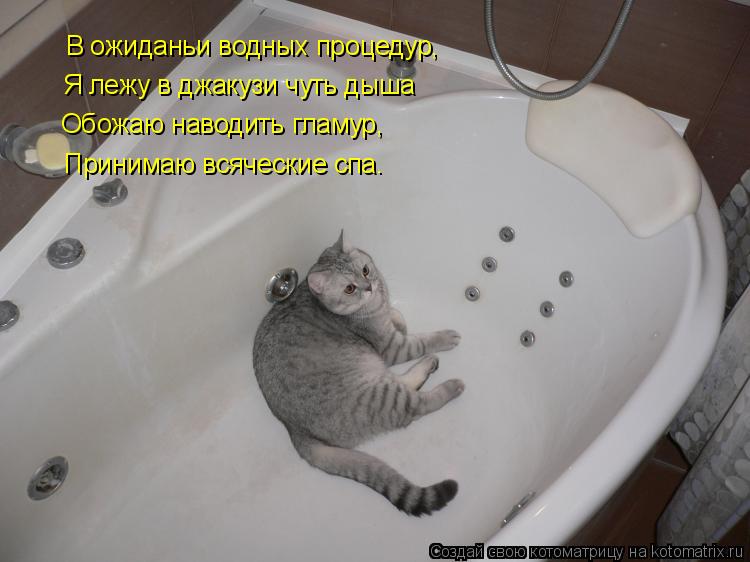 Котоматрица: В ожиданьи водных процедур, Я лежу в джакузи чуть дыша Обожаю наводить гламур, Принимаю всяческие спа.