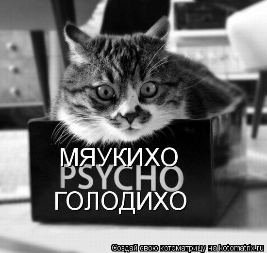 Котоматрица: МЯУКИХО ГОЛОДИХО