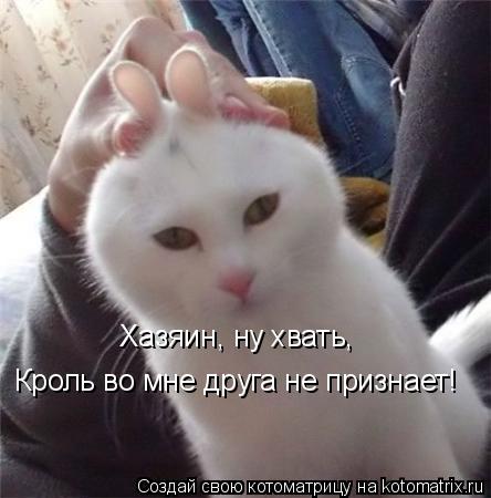 Котоматрица: Хазяин, ну хвать,  Кроль во мне друга не признает!