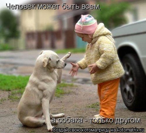 Человек может быть всем, а собака - только другом.... Котоматрица: Человек может быть всем, а собака - только другом.