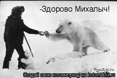 -Здорово Михалыч!... Котоматрица: -Здорово Михалыч!