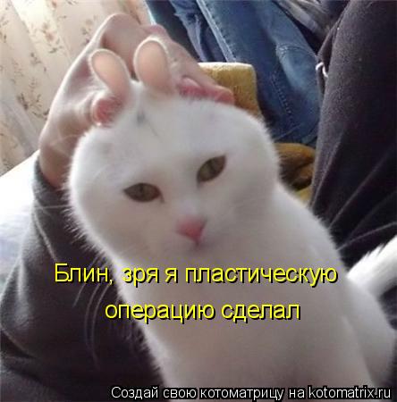 Блин, зря я пластическую операцию сделал... Котоматрица: Блин, зря я пластическую операцию сделал