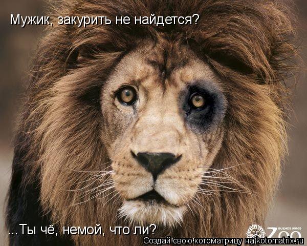 Мужик, закурить не найдется? ...Ты чё, немой, что ли?... Котоматрица: Мужик, закурить не найдется? ...Ты чё, немой, что ли?