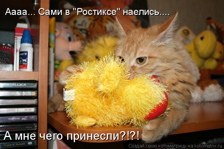 Аааа... Сами в "Ростиксе" наелись.... А мне чего принесли?!?!... Котоматрица: Аааа... Сами в "Ростиксе" наелись.... А мне чего принесли?!?!
