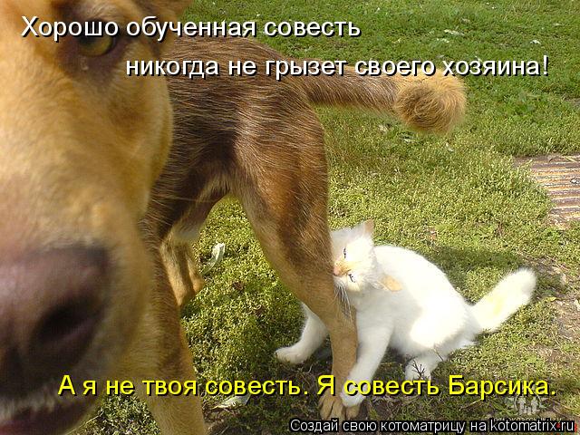Хорошо обученная совесть никогда не грызет своего хозяина! А я не твоя совесть. Я совесть Барсика.... Котоматрица: Хорошо обученная совесть никогда не грызет своего хозяина! А я не твоя совесть. Я совесть Барсика.