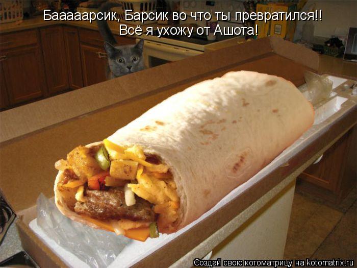 Бааааарсик, Барсик во что ты превратился!! Всё я ухожу от Ашота!... Котоматрица: Бааааарсик, Барсик во что ты превратился!! Всё я ухожу от Ашота!