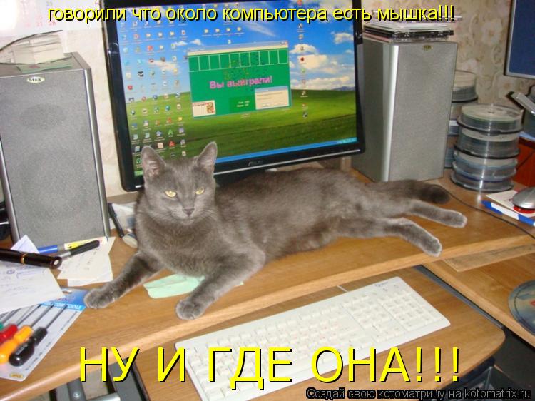говорили что около компьютера есть мышка!!! НУ И ГДЕ ОНА!!!... Котоматрица: говорили что около компьютера есть мышка!!! НУ И ГДЕ ОНА!!!