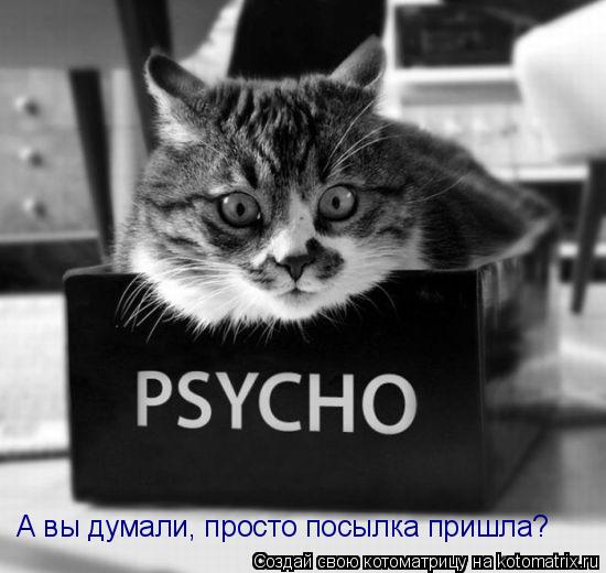 А вы думали, просто посылка пришла?... Котоматрица: А вы думали, просто посылка пришла?