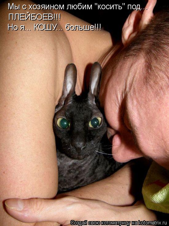 Мы с хозяином любим "косить" под... ПЛЕЙБОЕВ!!! Но я... КОШУ... больше!!!... Котоматрица: Мы с хозяином любим "косить" под... ПЛЕЙБОЕВ!!! Но я... КОШУ... больше!!!
