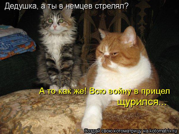 Дедушка, а ты в немцев стрелял? А то как же! Всю войну в прицел щурился...... Котоматрица: Дедушка, а ты в немцев стрелял? А то как же! Всю войну в прицел щурился...