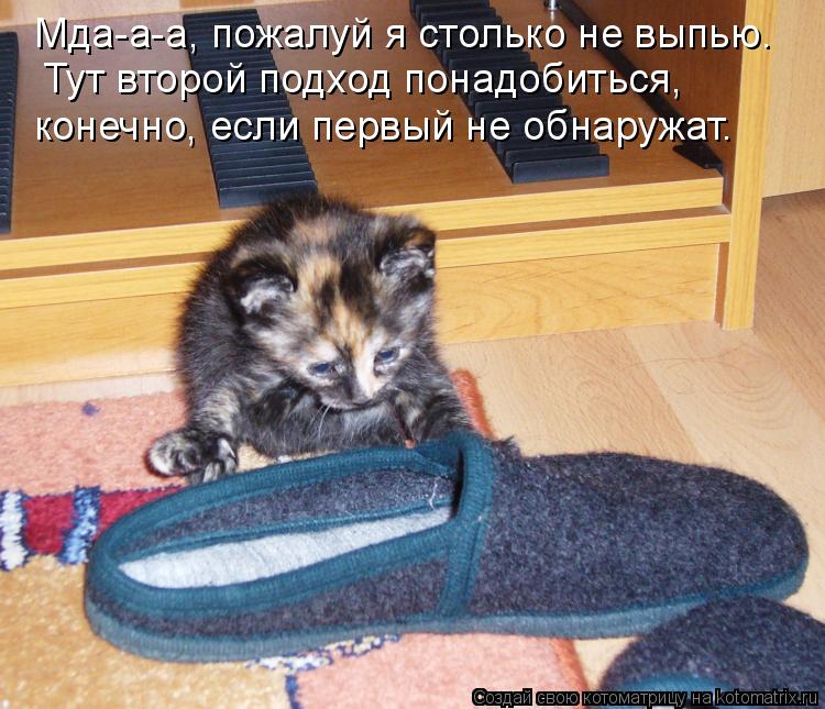 Мда-а-а, пожалуй я столько не выпью. Тут второй подход понадобиться, конечно, если первый не обнару... Котоматрица: Мда-а-а, пожалуй я столько не выпью. Тут второй подход понадобиться, конечно, если первый не обнаружат.
