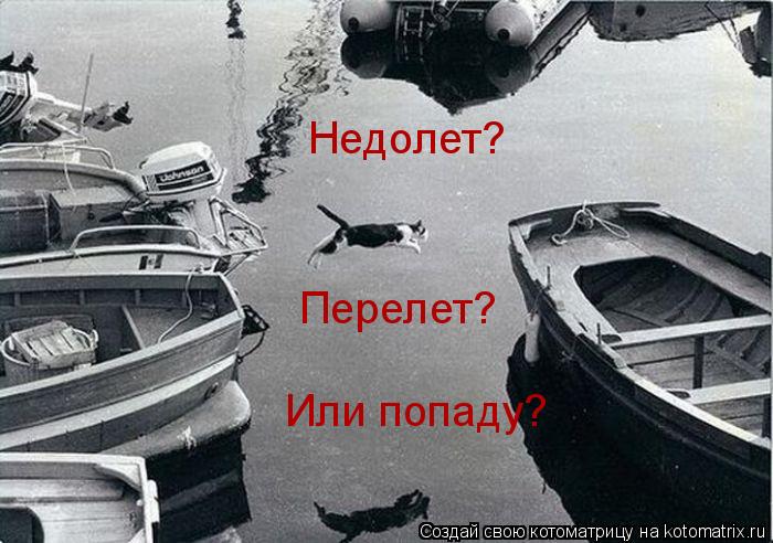 Недолет? Перелет? Или попаду?... Котоматрица: Недолет? Перелет? Или попаду?