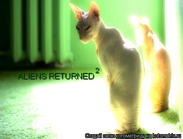 ALIENS RETURNED 2... Котоматрица: ALIENS RETURNED 2