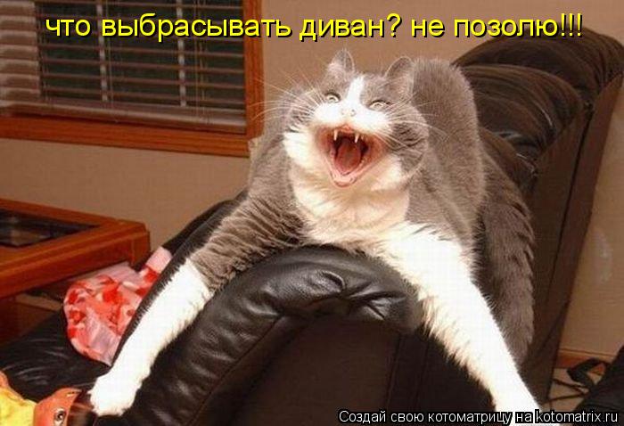 что выбрасывать диван? не позолю!!!... Котоматрица: что выбрасывать диван? не позолю!!!