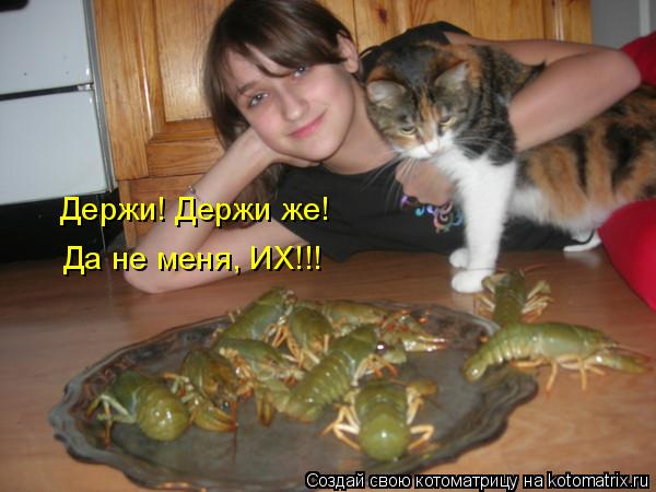 Держи! Держи же! Да не меня, ИХ!!!... Котоматрица: Держи! Держи же! Да не меня, ИХ!!!