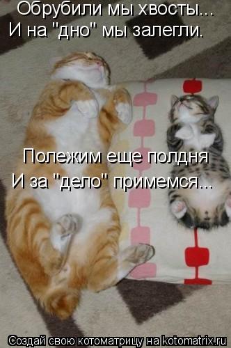 Котоматрица: Обрубили мы хвосты... И на "дно" мы залегли. Полежим еще полдня И за "дело" примемся...