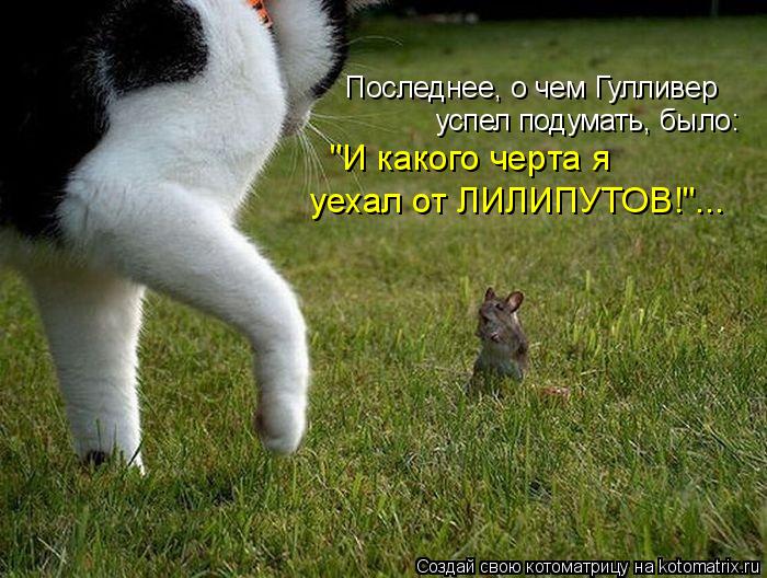 Котоматрица: Последнее, о чем Гулливер  успел подумать, было: "И какого черта я  уехал от ЛИЛИПУТОВ!"...