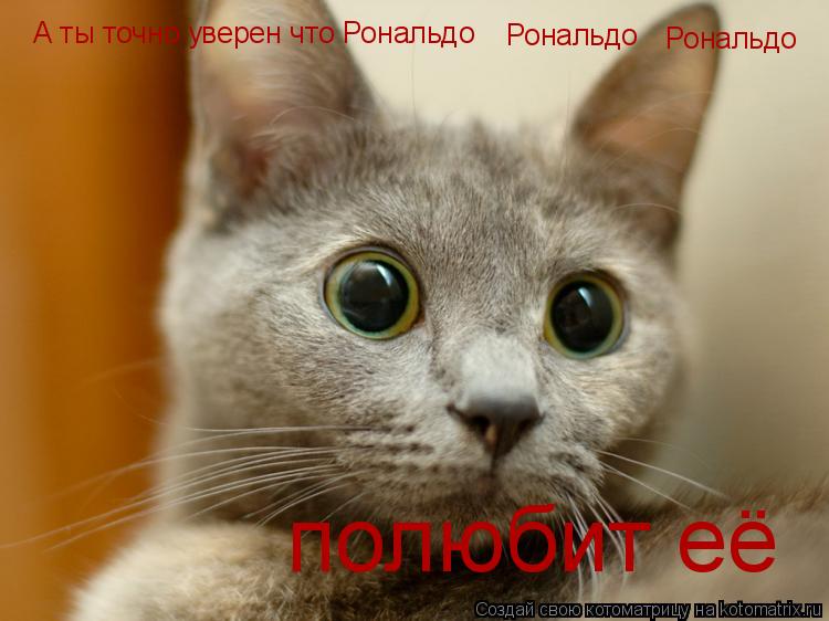 А ты точно уверен что Рональдо полюбит её Рональдо Рональдо... Котоматрица: А ты точно уверен что Рональдо полюбит её Рональдо Рональдо